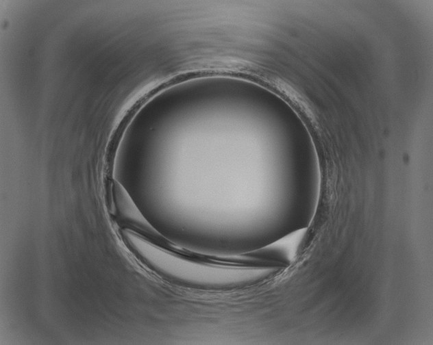 X0000082701085200702091716