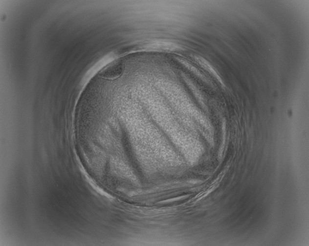 X0000082701087200702091716