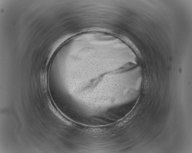 X0000082701092200702091716