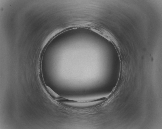 X0000082701093200702091716