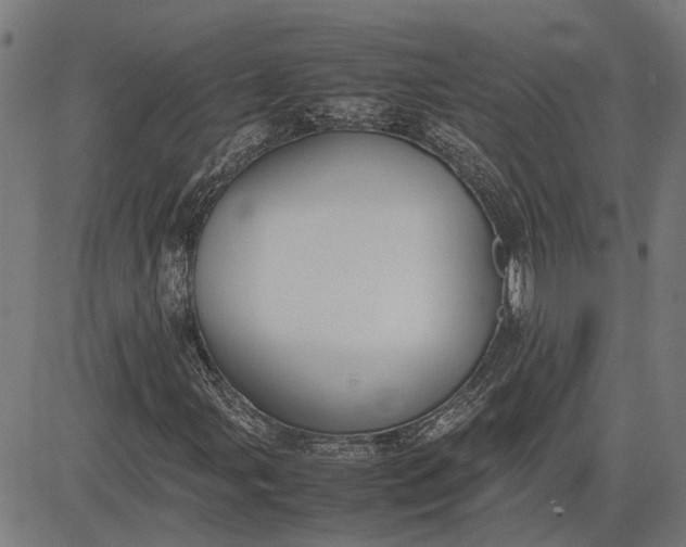 X0000082701107200702091715