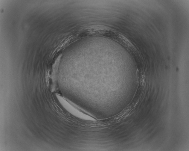 X0000082701108200702091715