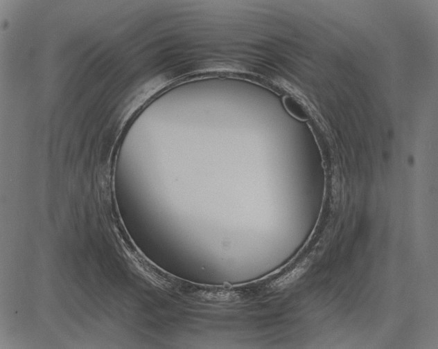 X0000082701129200702091716