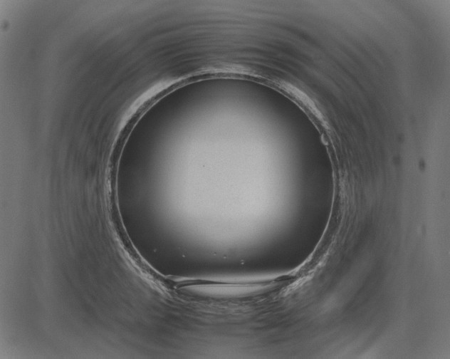 X0000082701133200702091716