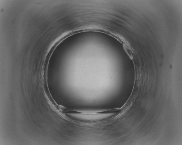 X0000082701134200702091716