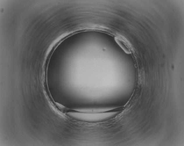 X0000082701136200702091716