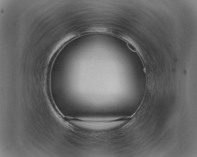 X0000082701139200702091716