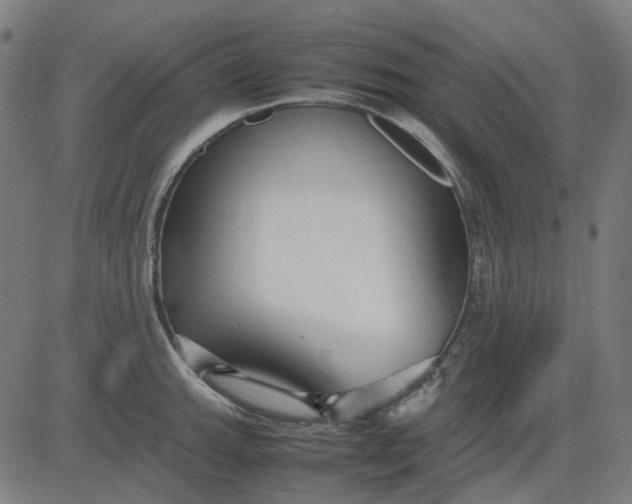 X0000082701143200702091716