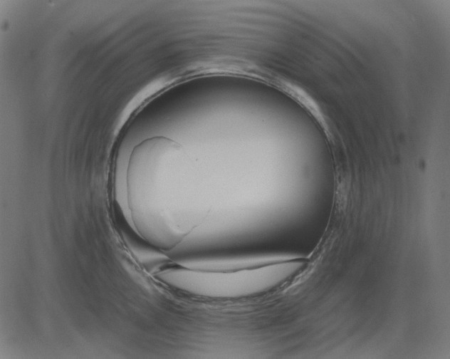 X0000082701146200702091716