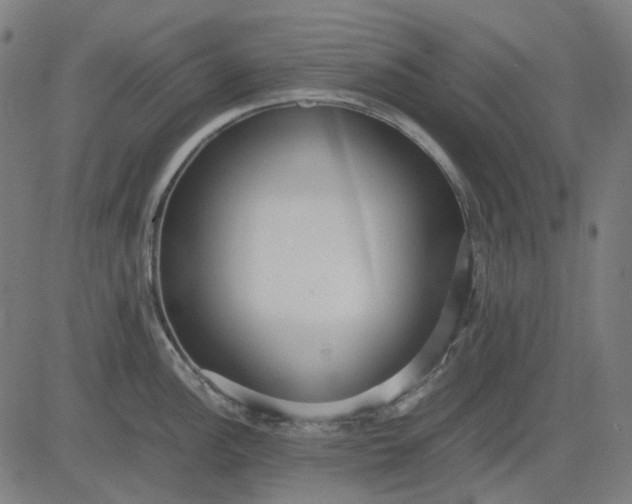 X0000082701148200702091716