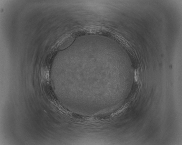 X0000082701155200702091715