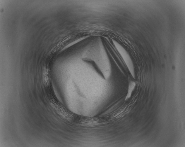 X0000082701156200702091715