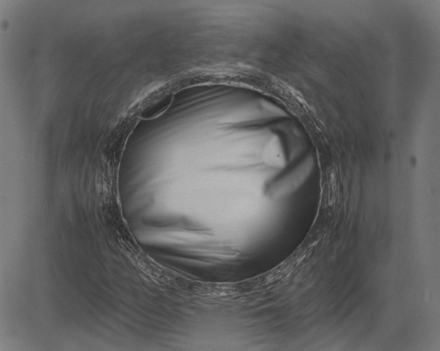 X0000082701158200702091715