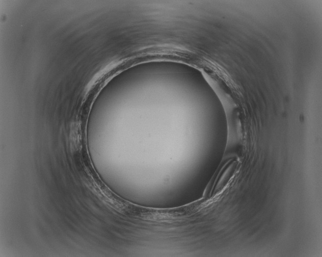 X0000082701164200702091715
