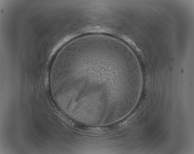 X0000082701167200702091715