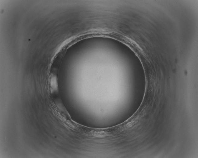 X0000082701168200702091715