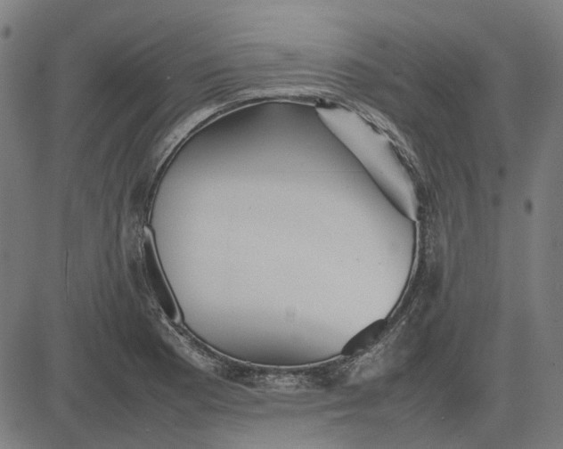 X0000082701177200702091715