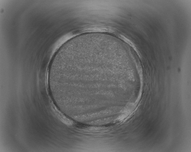 X0000082701179200702091715