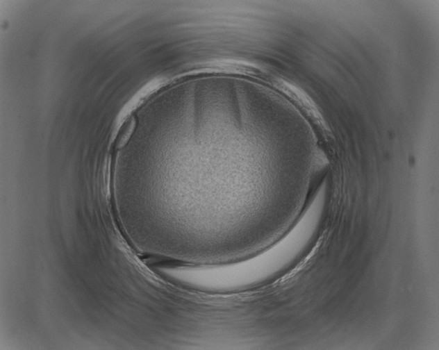 X0000082701180200702091715