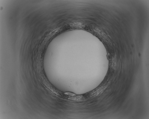 X0000082701201200702091714