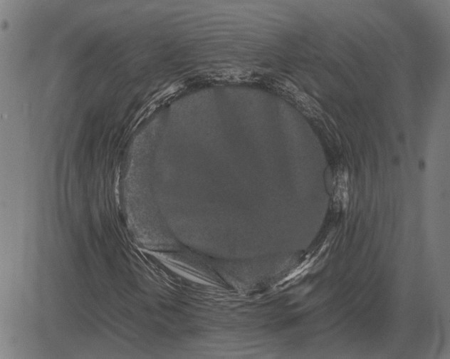X0000082701202200702091714