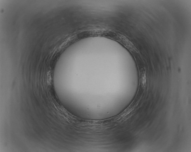 X0000082701204200702091714