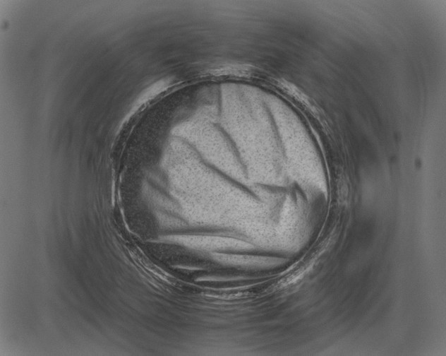 X0000082701219200702091714