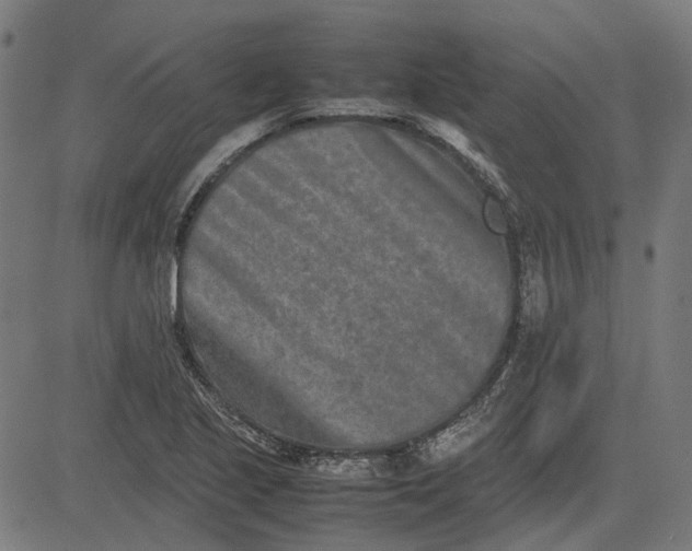 X0000082701221200702091714