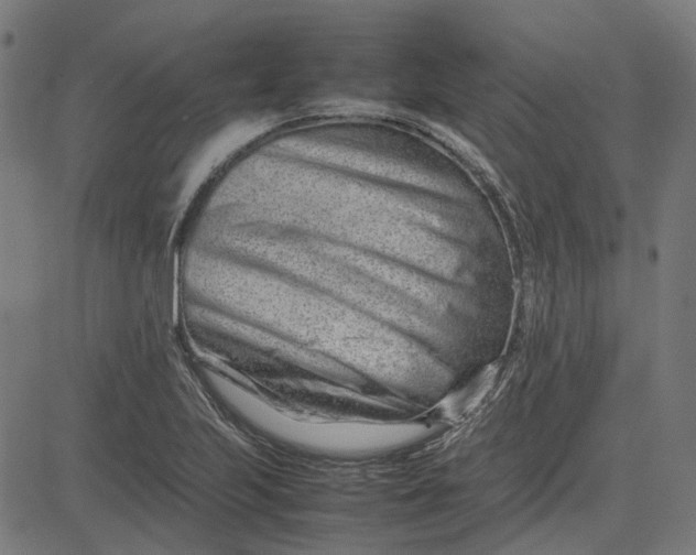 X0000082701223200702091714