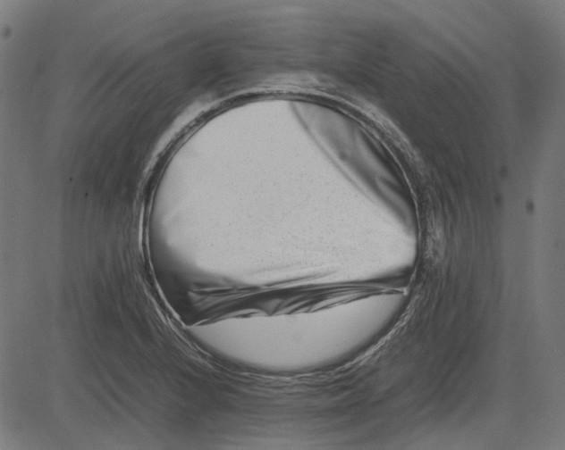 X0000082701224200702091714