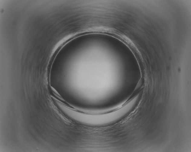 X0000082701230200702091714