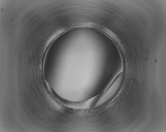 X0000082701234200702091714