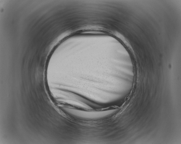 X0000082701237200702091714