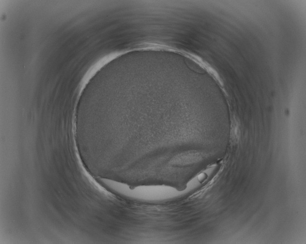 X0000082701239200702091714