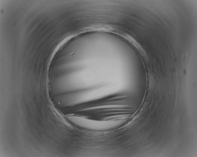 X0000082701240200702091714