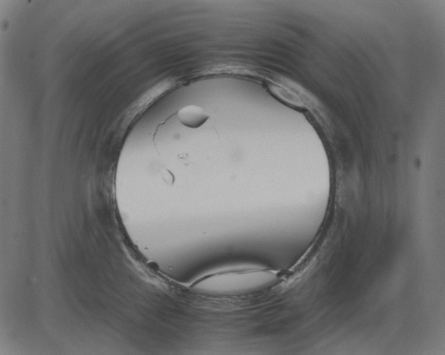X0000082701241200702091714