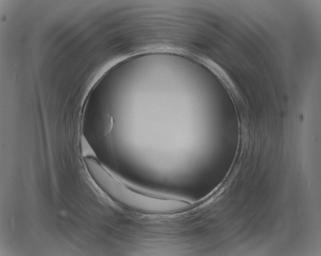 X0000082701244200702091714