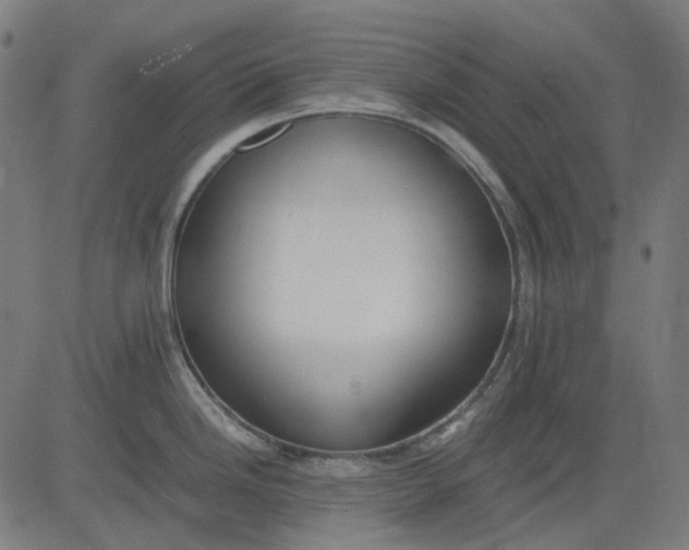 X0000082701246200702091714