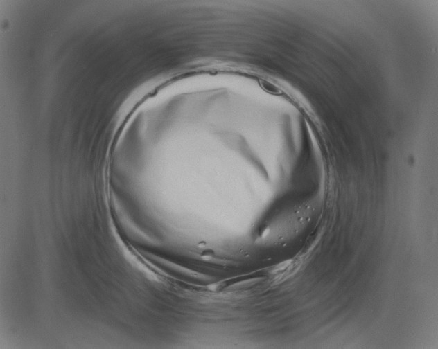 X0000082701247200702091714