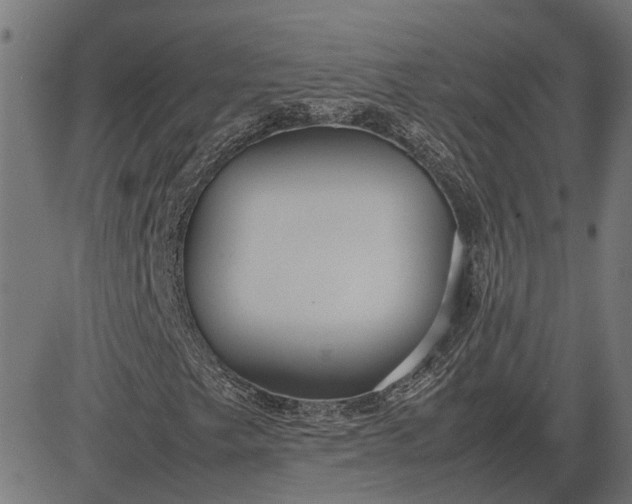 X0000082701249200702091714