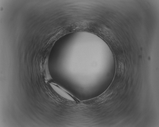 X0000082701250200702091714