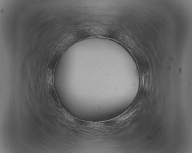 X0000082701251200702091714
