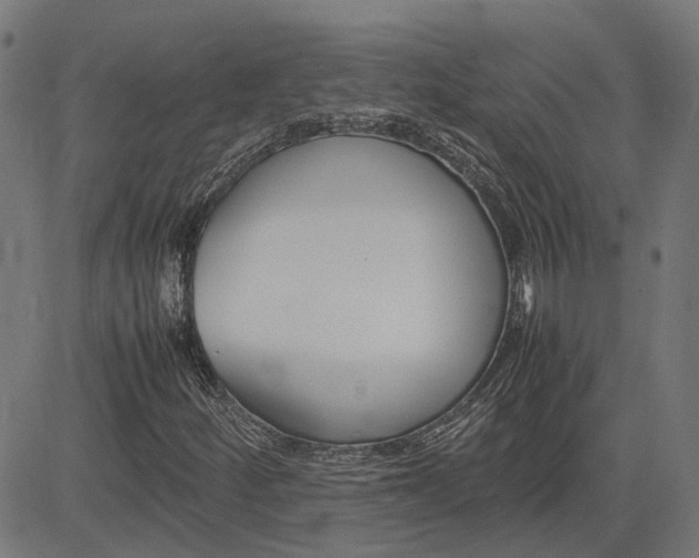 X0000082701252200702091714