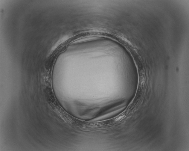 X0000082701255200702091714