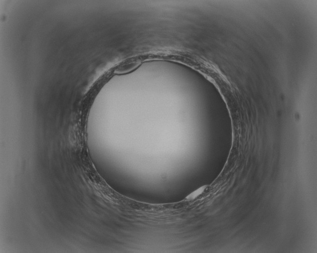 X0000082701256200702091714