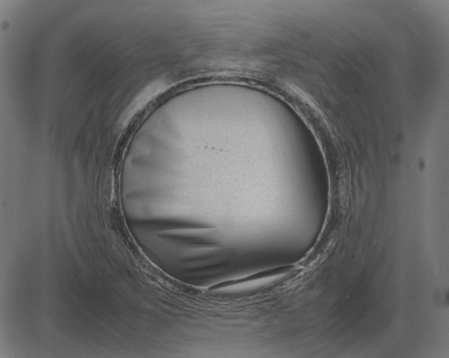 X0000082701267200702091713