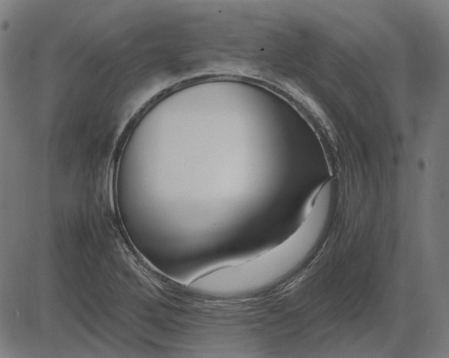 X0000082701272200702091713
