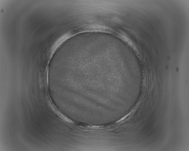 X0000082701275200702091713
