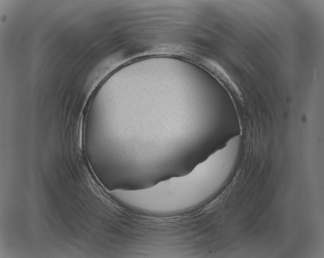 X0000082701276200702091713
