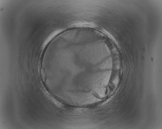 X0000082701277200702091713